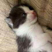 ヒメ日記 2025/05/10 00:02 投稿 るな 熟女の風俗最終章 西川口店