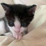 ヒメ日記 2025/05/30 14:03 投稿 るな 熟女の風俗最終章 西川口店