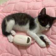 ヒメ日記 2025/06/24 09:12 投稿 るな 熟女の風俗最終章 西川口店