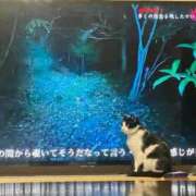 ヒメ日記 2025/12/02 20:27 投稿 るな 熟女の風俗最終章 西川口店