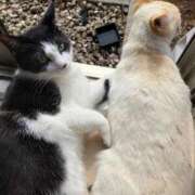 ヒメ日記 2026/03/17 18:02 投稿 るな 熟女の風俗最終章 西川口店