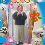 ヒメ日記 2025/03/25 12:30 投稿 坂西真瞳子 五十路マダム姫路店