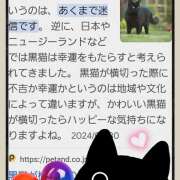 ヒメ日記 2025/03/27 13:50 投稿 坂西真瞳子 五十路マダム姫路店