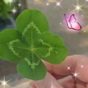 ヒメ日記 2025/04/17 16:46 投稿 坂西真瞳子 五十路マダム姫路店