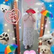 ヒメ日記 2025/06/30 11:58 投稿 坂西真瞳子 五十路マダム姫路店