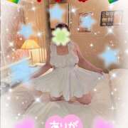 ヒメ日記 2025/08/13 15:22 投稿 坂西真瞳子 五十路マダム姫路店