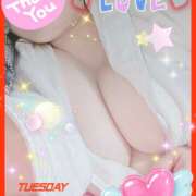 ヒメ日記 2026/01/21 14:40 投稿 坂西真瞳子 五十路マダム姫路店