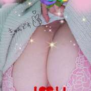 ヒメ日記 2026/02/21 09:22 投稿 坂西真瞳子 五十路マダム姫路店