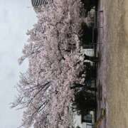 ヒメ日記 2026/04/07 09:48 投稿 坂西真瞳子 五十路マダム姫路店