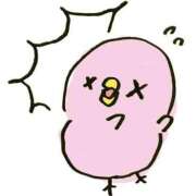 ヒメ日記 2025/04/02 02:58 投稿 しの 成田富里インターちゃんこ