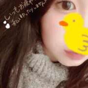 ヒメ日記 2025/04/06 13:00 投稿 しの 成田富里インターちゃんこ