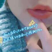 ヒメ日記 2025/04/06 16:28 投稿 しの 成田富里インターちゃんこ