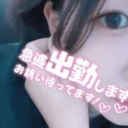 ヒメ日記 2025/04/23 10:51 投稿 しの 成田富里インターちゃんこ