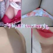 ヒメ日記 2025/05/25 10:08 投稿 しの 成田富里インターちゃんこ