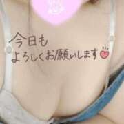 ヒメ日記 2025/08/04 17:08 投稿 しの 成田富里インターちゃんこ