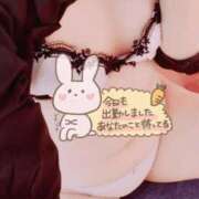 ヒメ日記 2025/10/09 12:28 投稿 しの 成田富里インターちゃんこ