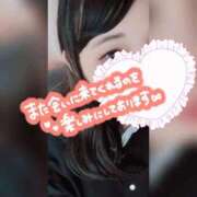 ヒメ日記 2025/11/04 14:38 投稿 しの 成田富里インターちゃんこ