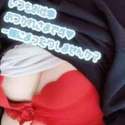 ヒメ日記 2025/11/04 16:48 投稿 しの 成田富里インターちゃんこ