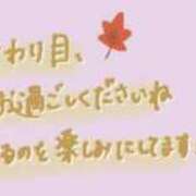ヒメ日記 2025/11/06 23:11 投稿 しの 成田富里インターちゃんこ