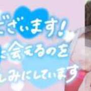 ヒメ日記 2025/11/11 09:08 投稿 しの 成田富里インターちゃんこ