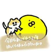 ヒメ日記 2025/11/14 17:58 投稿 しの 成田富里インターちゃんこ