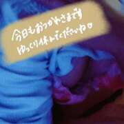 ヒメ日記 2025/11/24 23:08 投稿 しの 成田富里インターちゃんこ