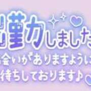ヒメ日記 2025/11/25 10:28 投稿 しの 成田富里インターちゃんこ