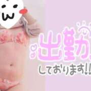 ヒメ日記 2025/12/01 12:38 投稿 しの 成田富里インターちゃんこ