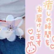 ヒメ日記 2025/12/02 19:08 投稿 しの 成田富里インターちゃんこ