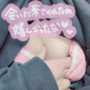 ヒメ日記 2025/12/02 21:38 投稿 しの 成田富里インターちゃんこ