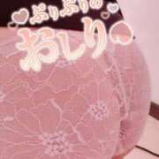 ヒメ日記 2025/12/04 12:28 投稿 しの 成田富里インターちゃんこ