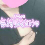 ヒメ日記 2025/12/06 13:58 投稿 しの 成田富里インターちゃんこ