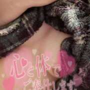 ヒメ日記 2025/12/22 08:48 投稿 しの 成田富里インターちゃんこ