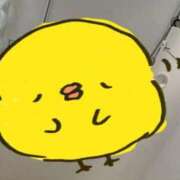 ヒメ日記 2026/01/28 15:49 投稿 しの 成田富里インターちゃんこ