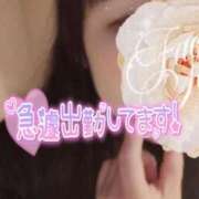 ヒメ日記 2026/04/03 12:02 投稿 しの 成田富里インターちゃんこ