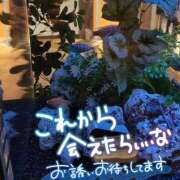 ヒメ日記 2026/04/06 16:08 投稿 しの 成田富里インターちゃんこ