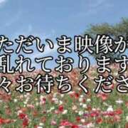 ヒメ日記 2026/05/10 17:58 投稿 しの 成田富里インターちゃんこ