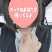 ヒメ日記 2026/06/26 11:08 投稿 しの 成田富里インターちゃんこ