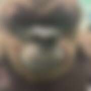 ヒメ日記 2025/07/24 17:06 投稿 てぃな 花影（かえい）