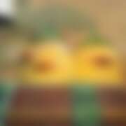 ヒメ日記 2025/07/31 13:09 投稿 てぃな 花影（かえい）