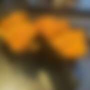 ヒメ日記 2025/10/01 10:31 投稿 てぃな 花影（かえい）