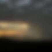 ヒメ日記 2025/11/27 11:07 投稿 てぃな 花影（かえい）