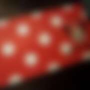 ヒメ日記 2025/12/12 11:18 投稿 てぃな 花影（かえい）