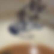 ヒメ日記 2025/12/18 09:31 投稿 てぃな 花影（かえい）