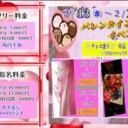 ヒメ日記 2026/02/13 09:14 投稿 てぃな 花影（かえい）