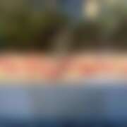 ヒメ日記 2026/02/25 14:55 投稿 てぃな 花影（かえい）