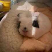 ヒメ日記 2024/12/15 12:38 投稿 水越 BBW横浜店