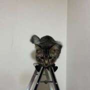 ヒメ日記 2024/12/30 11:54 投稿 水越 BBW横浜店