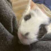 ヒメ日記 2025/02/01 00:53 投稿 水越 BBW横浜店