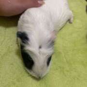 ヒメ日記 2025/02/04 10:38 投稿 水越 BBW横浜店